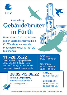 Gebäudebrüter Fürth Müller Stiftung für Umwelt und Natur