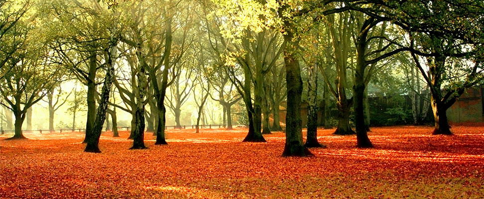 Stiftergemeinschaft Fürth