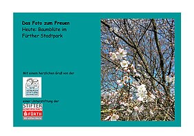 Seniorenstiftung Kemmeter