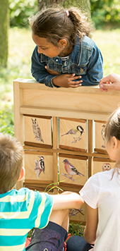 Müller Stiftung für Umwelt und Natur